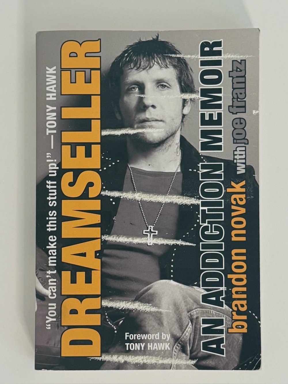 Dreamseller Brandon Novak Addiction Memoir Tony Hawk Foreword Paperback